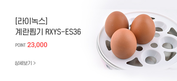 [̳콺]  RXYS-ES36