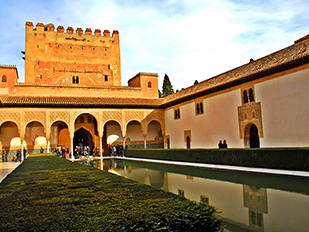 ������ ����